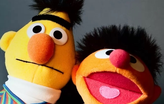 De Google update: BERT